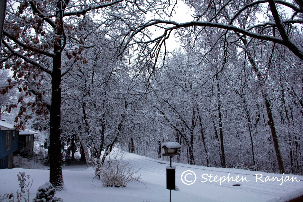 The snowy road